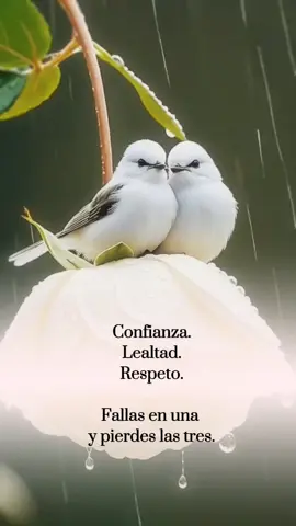 Frases #frase #reflexion 