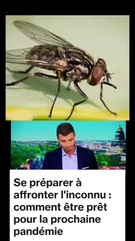 Se préparer à affronter l'inconnu : comment être prêt pour la prochaine#belgium #france🇫🇷 #españa #europe 