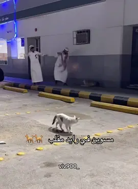 #اكسبلور #قروب_سيف #عبيد_ال_بريك #سيف_ال_عمار #رياكشن @ابو مطرف 🌚💙 @بندر عجب 