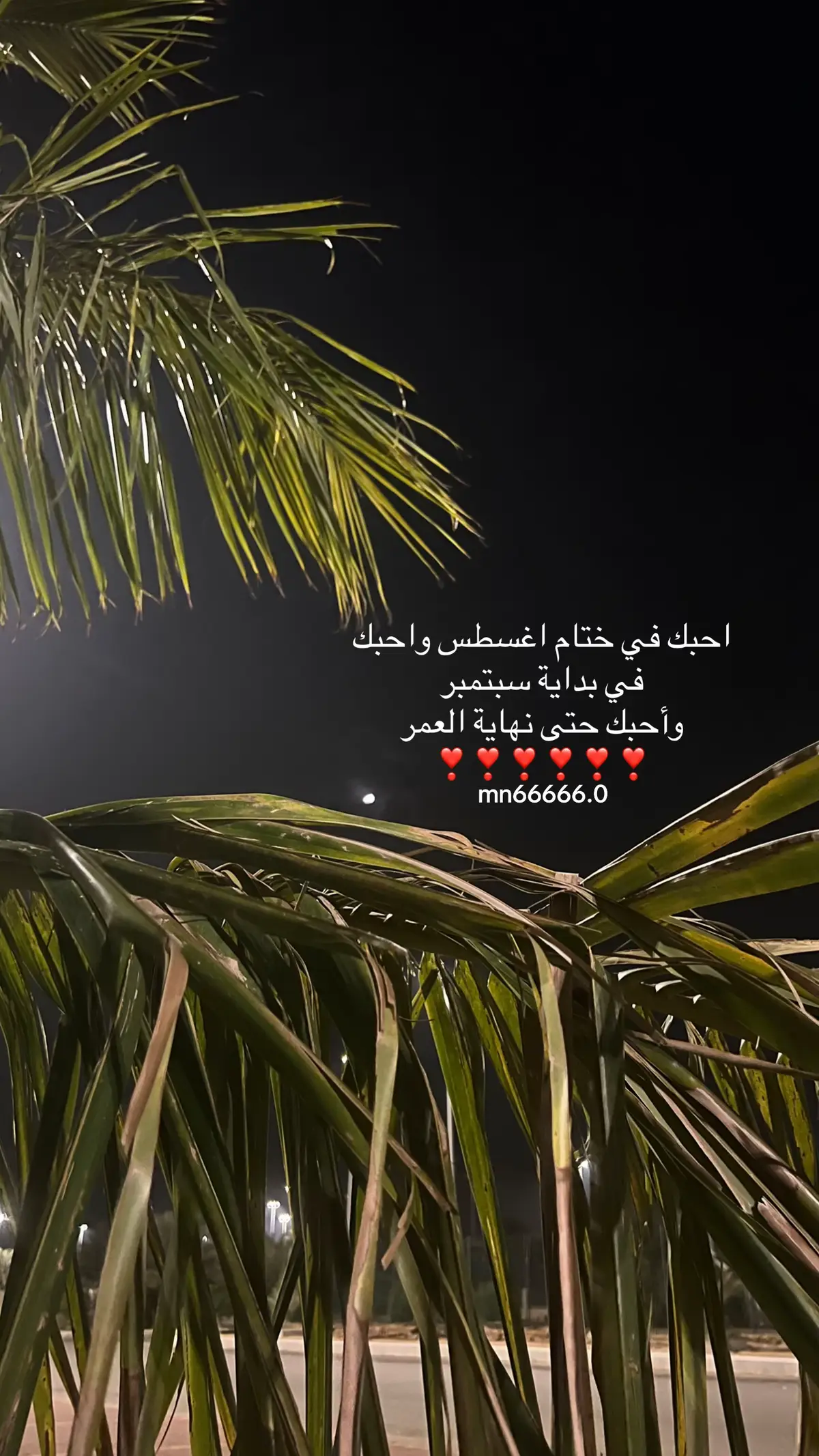 صباحي الشعور المليان فيك صباحي انت ولا بعدك ابد❣️#تصويري📷 