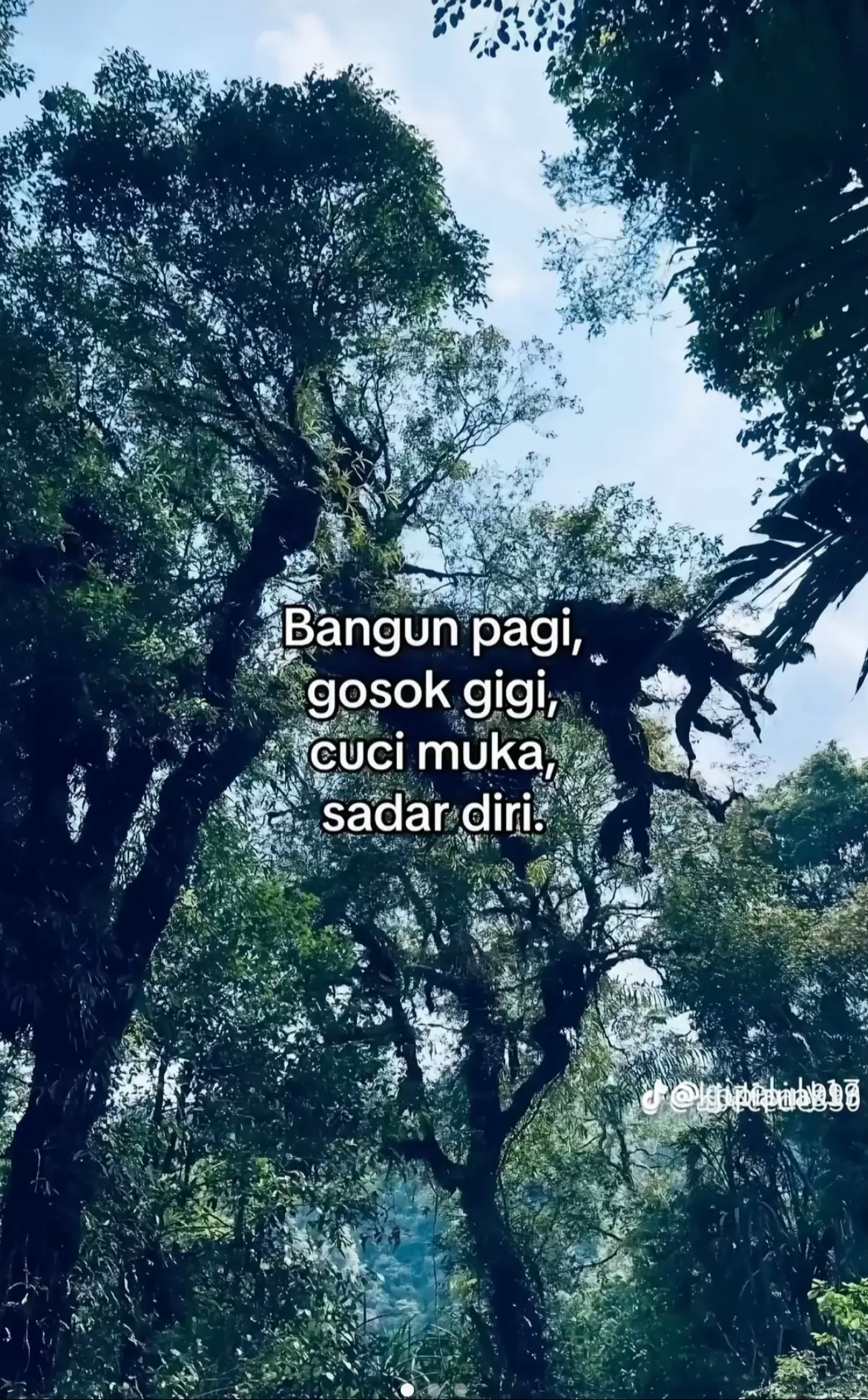 #4u #fyp 