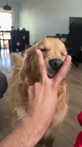 L O V E 🐾 