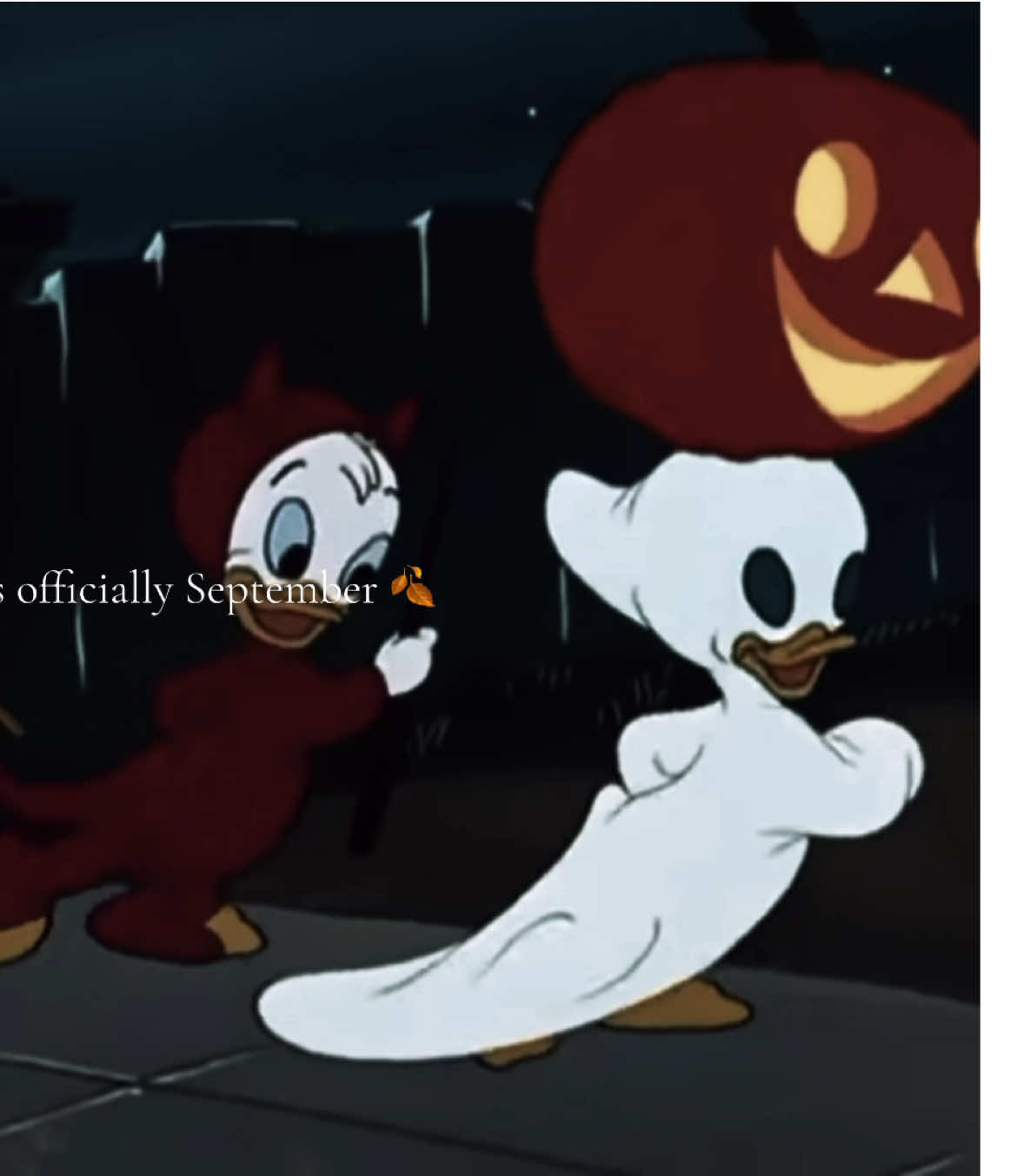 HAPPY SPOOKY SEASON - i start collage tmr help me #halloween #spookyseason #september #autumn #autumnaesthetic 