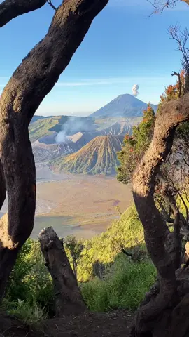 Bromo 1 September 2025 Awal bulan yang baik 😍😍 - Private trip Bromo dm #bromo #fyp #pakejbromo #bromotrip #fgbromo 