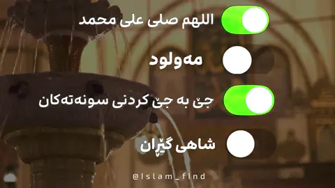 | دلێک بە یاددت بگەشێتەوە یا نەبی | 🤍#islam_find #fyp #sulaymaniyah #erbil #kurdistan 