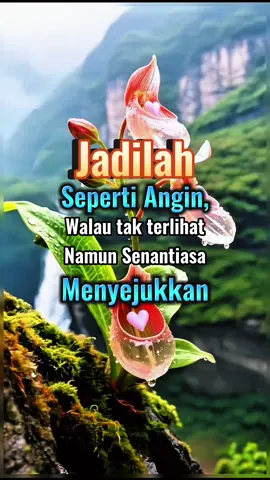 Jadilah seperti angin #katakatamotivasi #katakatabijak #katakatamutiara #katakataislami #katakatapenyemangat 