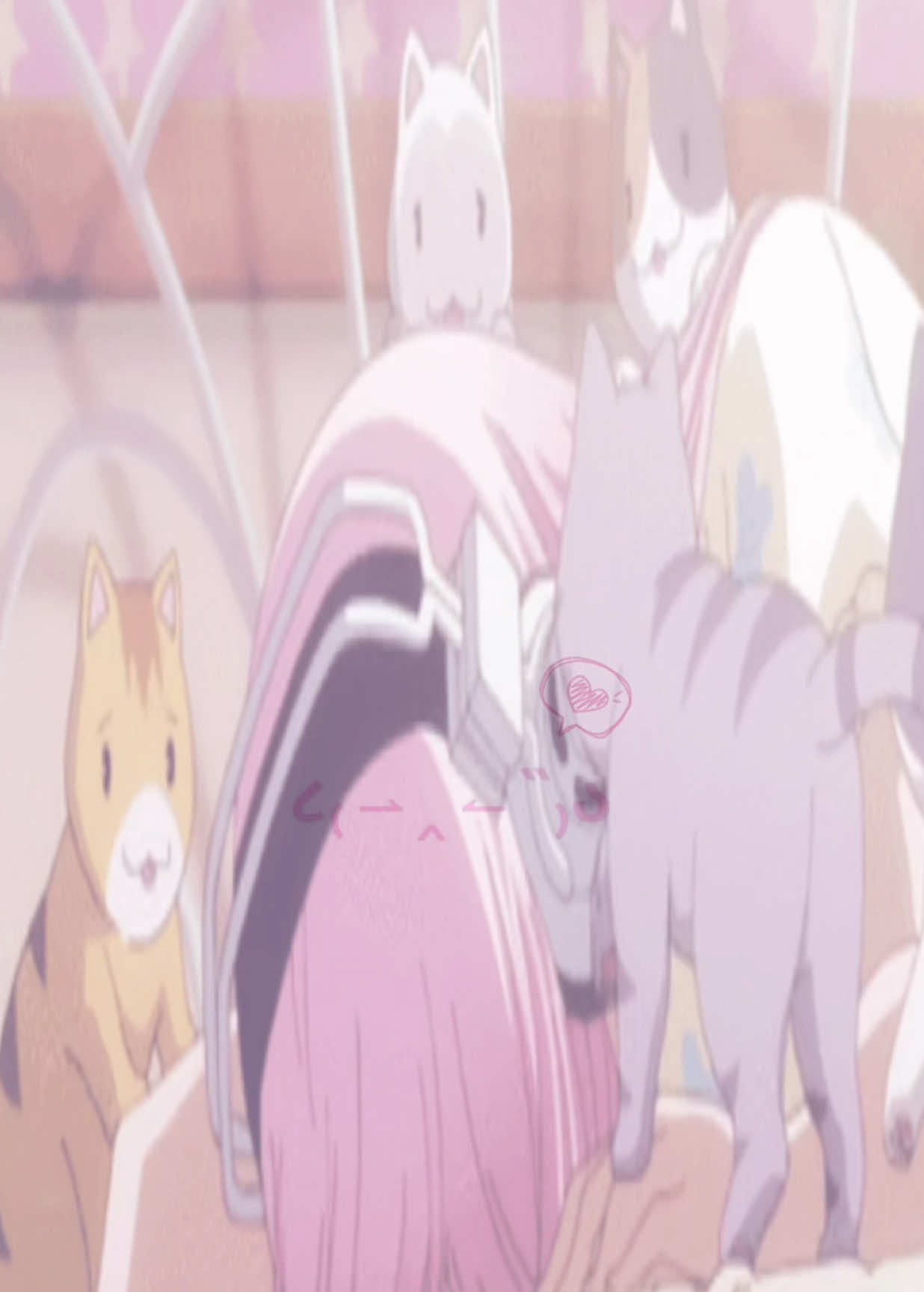❀ | #cute #pink #cat #targetaudience #sucr_se 