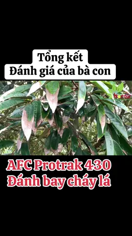 Thuốc trị cháy lá Sầu riêng hiệu quả nhất #afcprotrak430sc 
