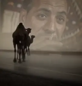 #بوسته #محمداللافي  #شعراء_وذواقين_الشعر_الشعبي 