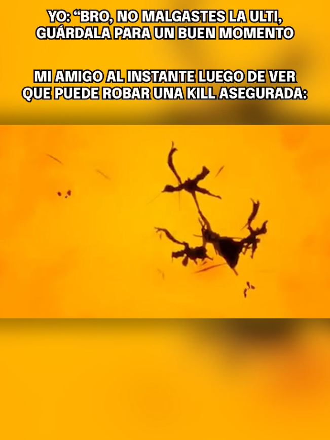 ese dúo que solo sabe robar #lolmemes #valorantmeme #overwatchmeme #gamerentiktok #fitchin 