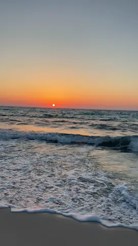 🌊