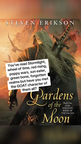 Rake solos anyone in any world, even Rand. #malazanbookofthefallen #malazan #anomanderrake #BookTok #fantasybooktok 