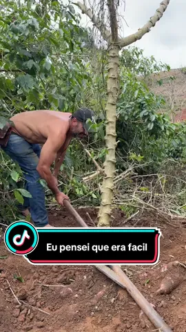 Esse ta complicado #cultura #roça #agricultura 