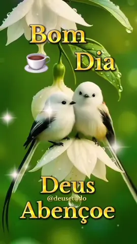 #deusetudo #deus #motivacional #reflexaododia #bomdia