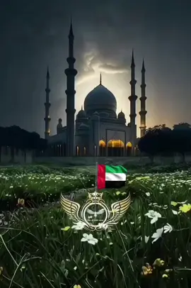 جزء(8):