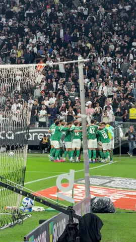 O gol que garantiu mais um ponto no Brasileirão ⚽🐯 #Palmeiras #TikTokEsportes 