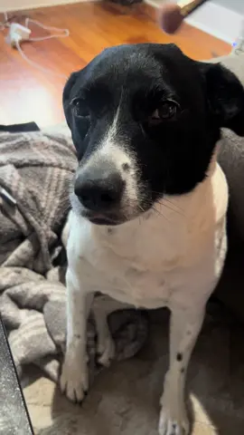 #spoiled