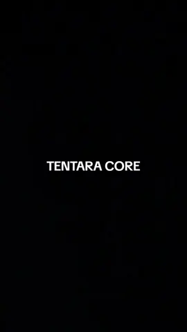 #tentaraindonesia #core #fyp 
