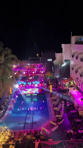 #الشعب_الصيني_ماله_حل😂😂 #sousse🇹🇳 #treehouse #tunisia🇹🇳 