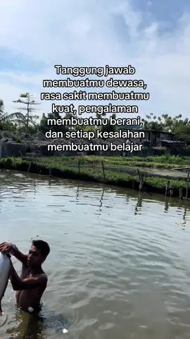 #fyp #fyppppppppppppppppppppppp #budidayaikan #ikanpatin #petaniindonesia🇮🇩🇮🇩🇮🇩🌿🌿 