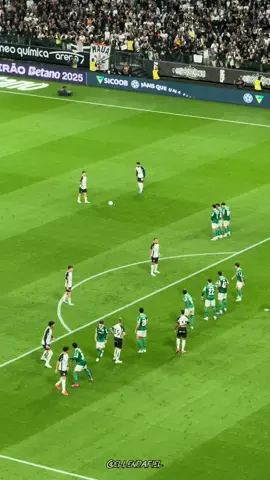 GOL DO CORINTHIANS, GOOOOL DO GH! ⚽️🙌🏼 Pelo Corinthians, com muito amor, até o fim. 🖤 🎥 @ellendafiel #corinthians #ellendafiel #LIVEIncentiveProgram #LIVEwithlowfollowers #PaidPartnership 