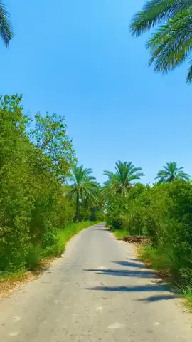 #اجو_يمي_الشماته_ودكو_الباب #تغير_مفاجئ 