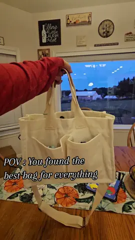 It's literally the best bag. I have all this in it and there is still a ton of room! #totebag #totebagaesthetic #purse #largecapacity #handbag 