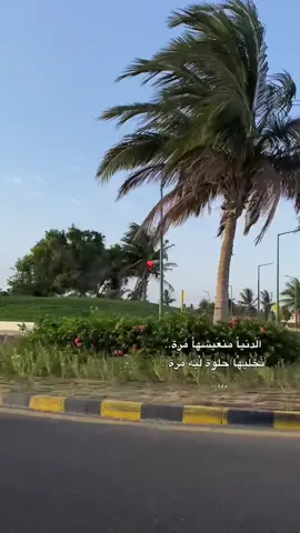 #مّ | ❣️. #اكسبلورexplore 