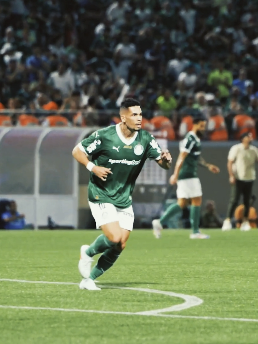 Paulinho com uma perna jogava mais que tudo #paulinho #palmeiras #brasileirao #libertadores #fypシ゚viral 