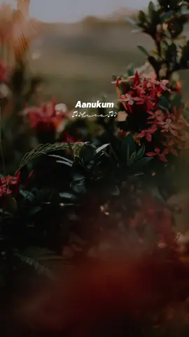 ♥️ #kaalamellamkadhalvaazhga #unnikrishnan #kschitra #devamusic #lunadesolate 