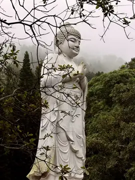 Ngày đầu tháng 9/25 Du sơn, dạo cảnh thanh tâm nào bằng.