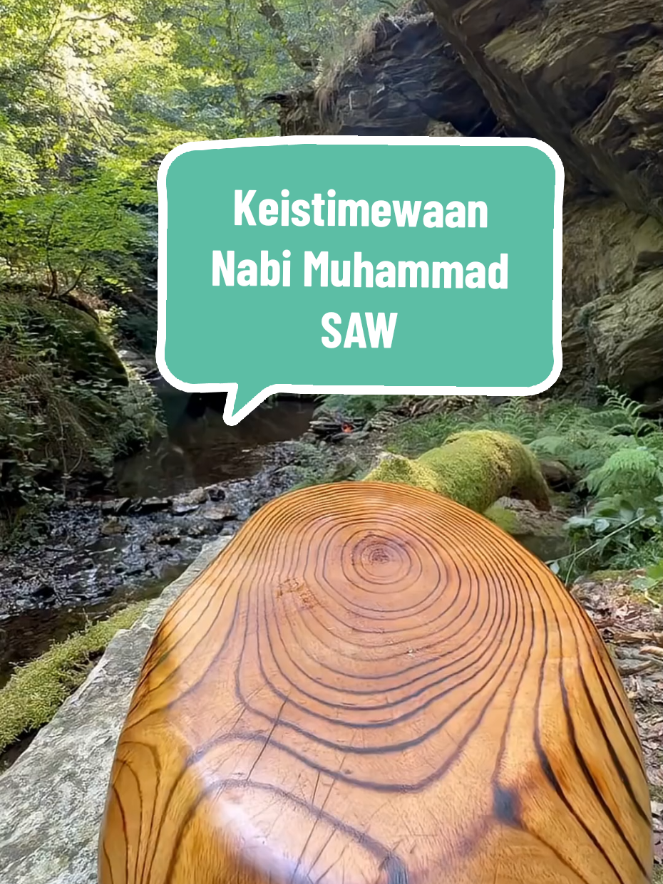 Keistimewaan Nabi Muhammad SAW Di Pada Hari Kiamat Dan Akhirat #motivasi #motivasiislam #rasulullah #kiamat #akhirat 