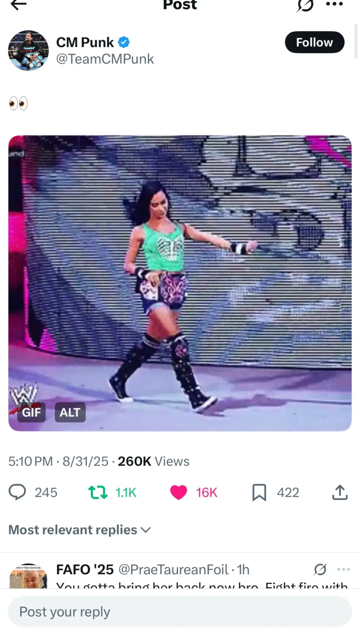 #WWE #cmpunk #ajlee 