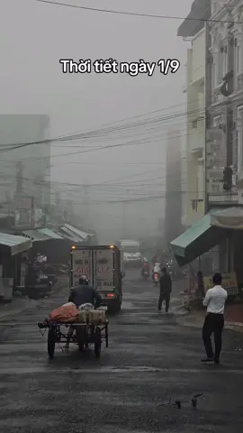Mong trời hôm nay nắng #canhdep #xuhuong #wowwgialai #gialai #pleiku 