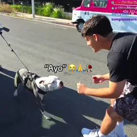 “Ayo” 😂 (Twitch - StableRonaldo) #fyp #stableronaldo 