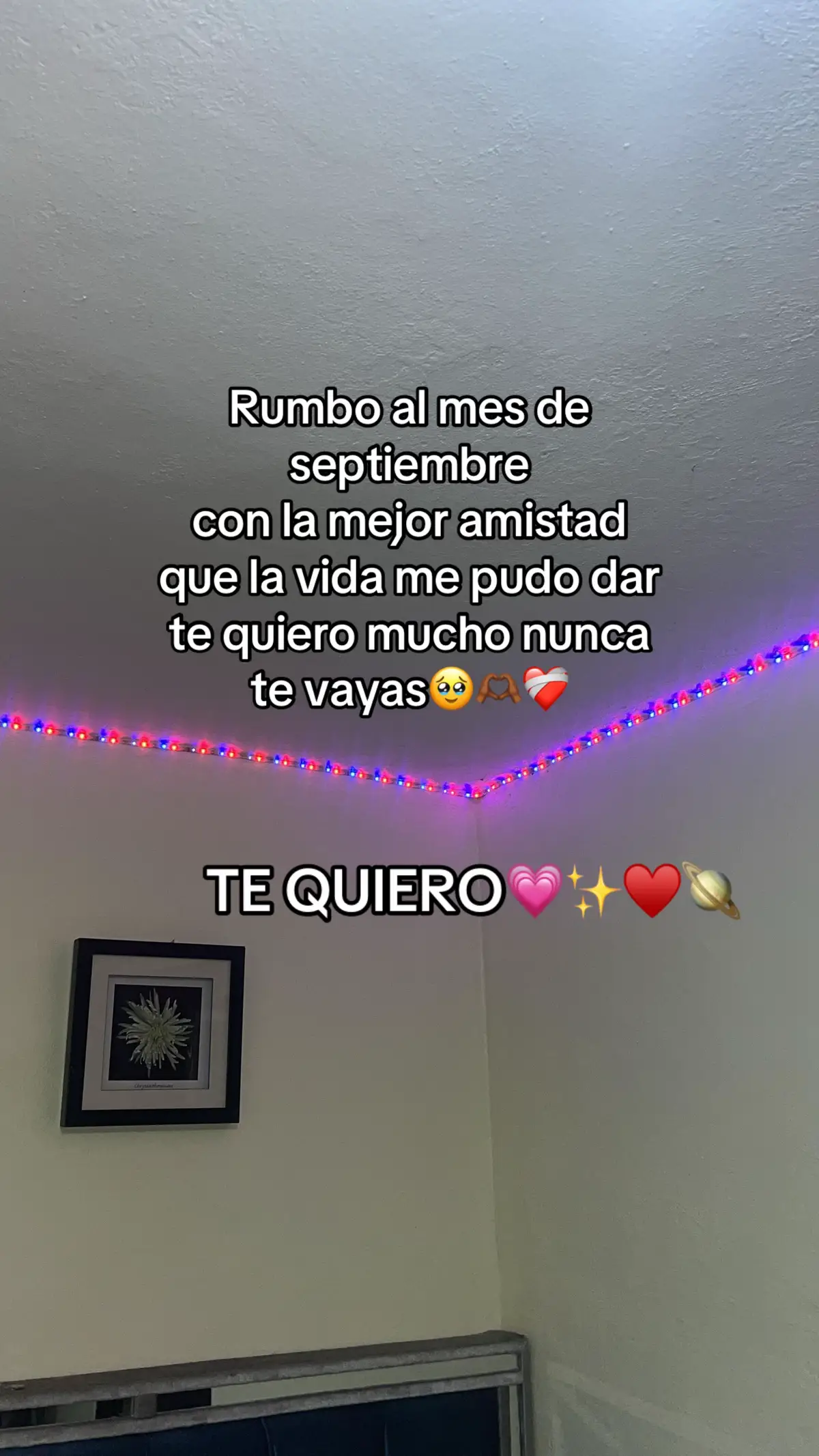 #amor❤️ #anime #fypシ゚ #viral #perfect 
