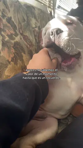 💗