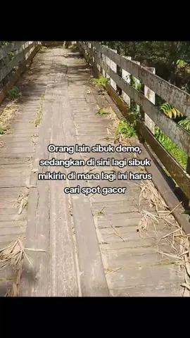 info spot bolo🎣🎣#mancing #spotgacor #mancingliar #fypviralシ #fyp 