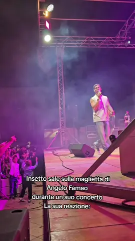 @Angelo Famao  #perte #angelofamao #insetto #concerto #sicilia 