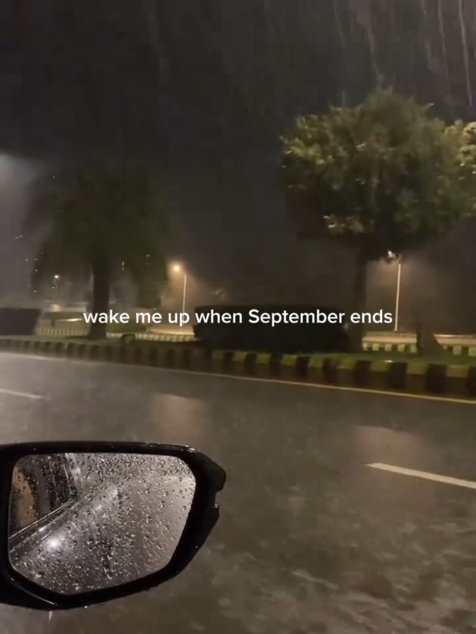 wake me up when september ends... #greenday #wakemeupwhenseptemberends #billiejoearmstrong #september #foryoupage 