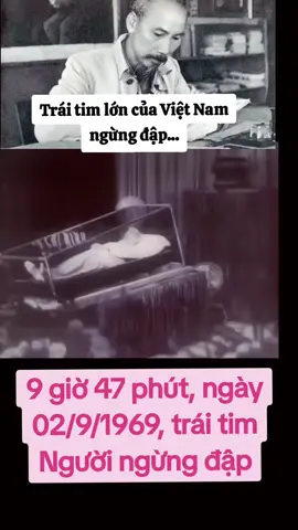 9 giờ 47 phút, ngày 02/9/1969, trái tim vĩ đại Hồ Chí Minh ngừng đập... Ngày Quốc khánh - Ngày vui của đất nước, cùng là ngày mất của người khai sinh ra Nước - ngày buồn nhất của đất nước. Một nhân cách cao đẹp. Một vĩ nhân hết mực giản dị.#xuhuong #bacho #bachochiminh #hochiminhmuonnam🇻🇳 #hochiminh 
