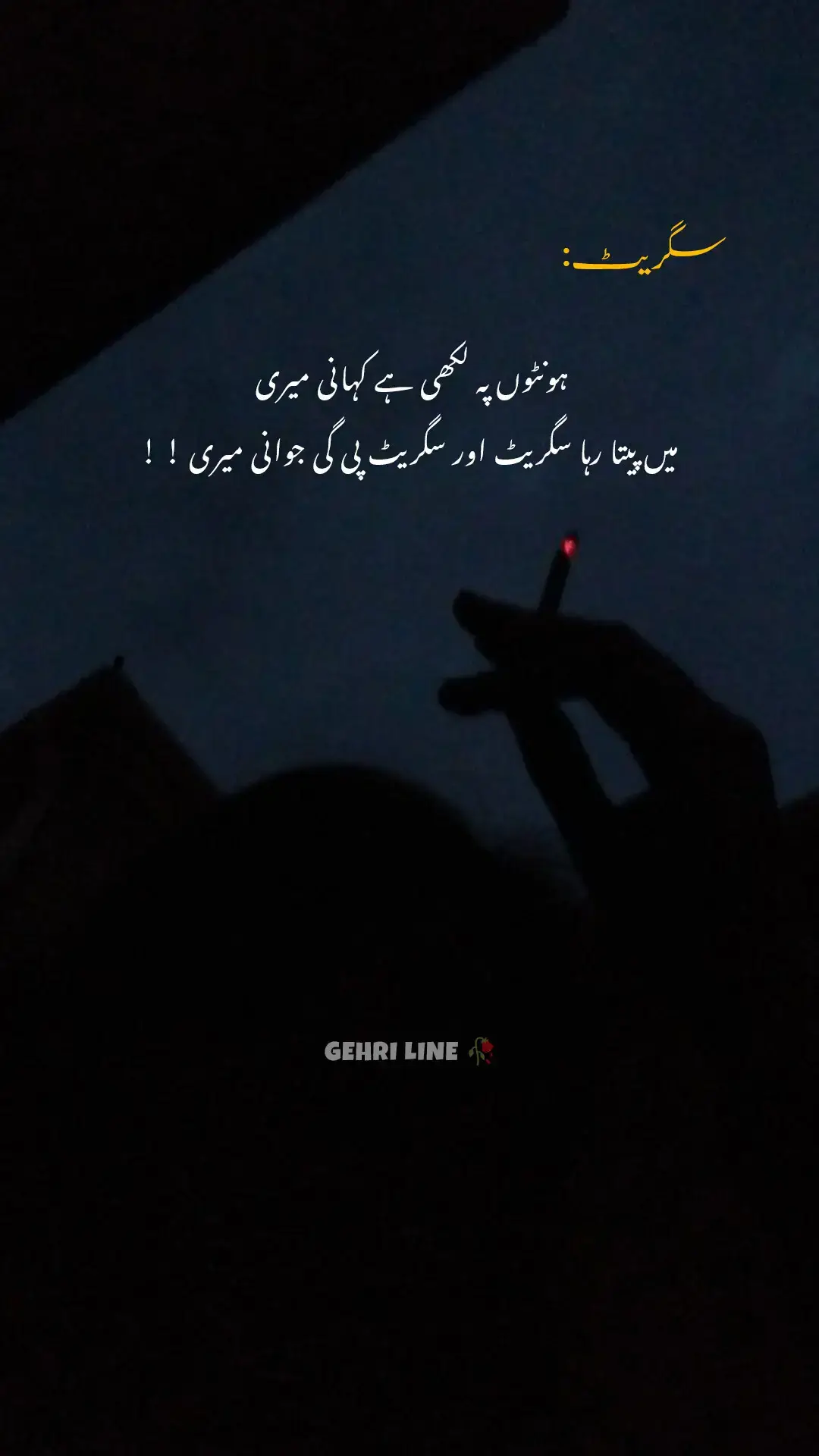 #foryou #urdupoetry #urdushayari #gehri_line  #urduline #gehri_chup plzz.1m