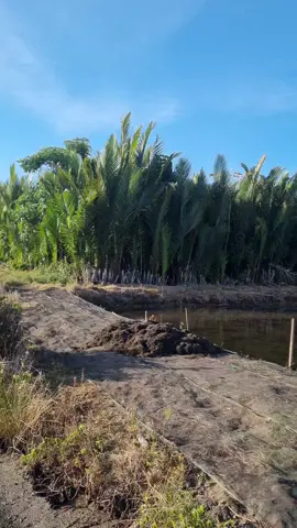 menikmati suasana di kampung dulu 😄