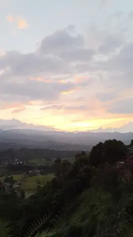 Ada apa dengan pemerintah saat ini?  Silahkan dikomen gaiss...  #CapCut #liveblokir #live #tiktok #affiliate 