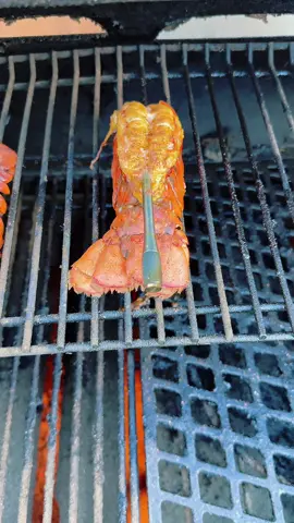 I thought he hired someone to cook us dinner for our anniversary 🥲 I should have known better 😂 but thanks to this @Ninja Kitchen pro chef thermometer, our smoked lobster tails were cooked to perfection and not at all rubbery! 🙌🏼 no more guessing on how done your steak is. This meat thermometer will tell you for you! #thermometer #ninjakitchen #tiktokshopcreatorpicks  #tiktokshoplabordaysale #spotlightfinds 