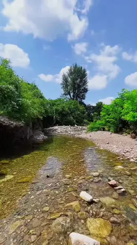 Nature Sound for Relaxation 50 Rainfall #naturerelaxation #rainsound #nature 