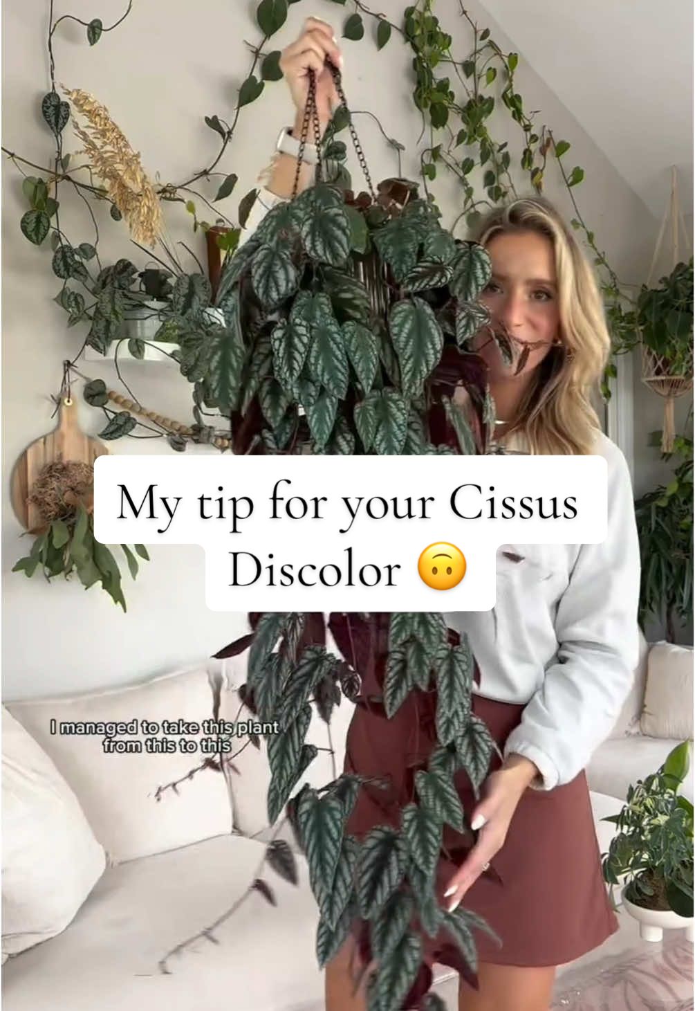 UPDATE: It didn’t make it 🥴 my takeaway? NEVERRRRR let this plant dry out. Like ever. Not even for a day. This is one I’m STILL kicking myself over because I loved it so much. On the hunt for another one! #plants #houseplants #indoorplants #fyp #foryourpage #foryoupage #plantblogger #planthelp #lifestyleblogger #houseplantsoftiktok #PlantTok #houseplantlover 