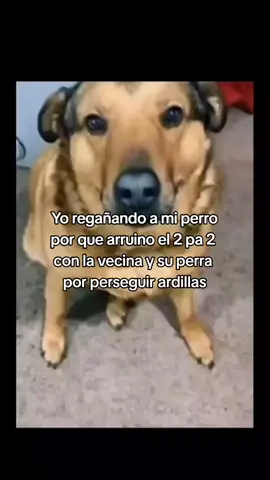 #viral #paratiiiiiiiiiiiiiiiiiiiiiiiiiiiiiii #😂😂😂 #fyppppppppppppppppppppppp #perros 