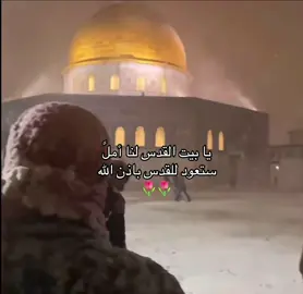 #قدس باذن الله  #مقاطعه #العلم_نجاة📚 