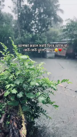 অপেক্ষা করলে সবাই ফিরে আসে না কেউ কেউ ভুলে ও যায়!😅❤️‍🩹#dubai🇦🇪 #tiktokbangladeshofficial🇧🇩🇧🇩 #fyp #viral #foryoupage #unfrezzmyaccount #foryou #fyppppppppppppppppppppppp @TikTok Bangladesh 